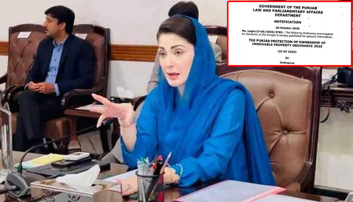 غیرقانونی قبضہ قابل سزا جرم قرار، پنجاب حکومت پروٹیکشن آف اونرشپ آف امووایبل پراپرٹی آرڈیننس دوبارہ لے آئی